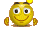 Уникальная акция!